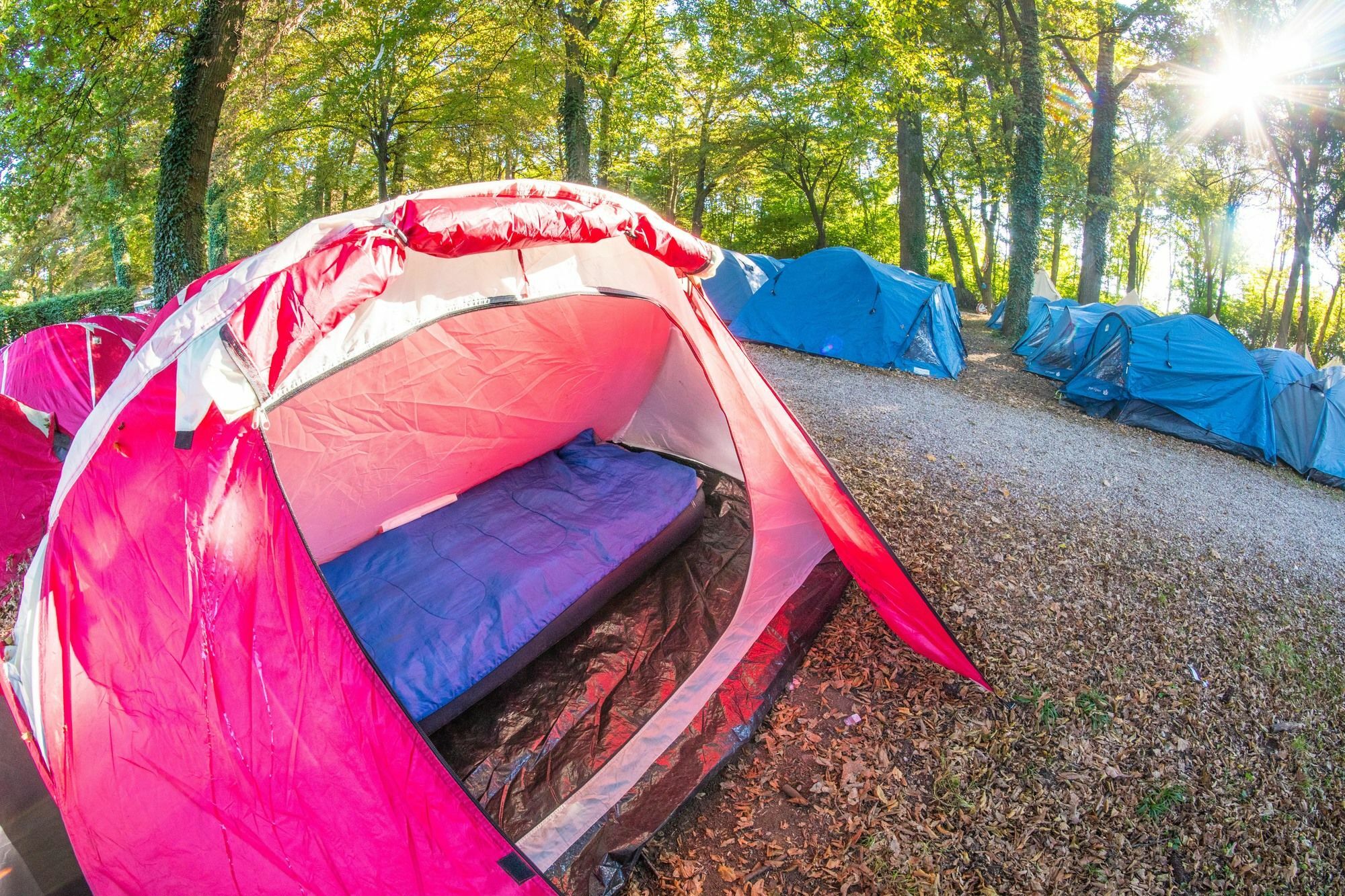 Ibiza Camp Camping